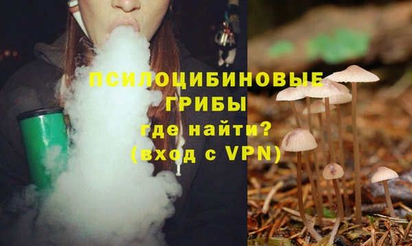 хмурый Михайловка