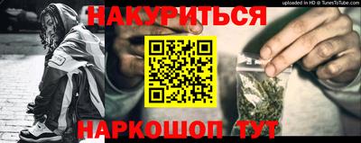 прущие крисы Гай
