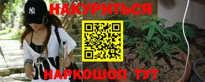 прущие крисы Гай