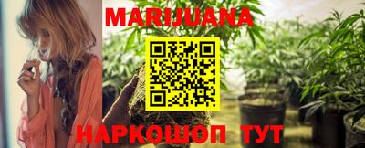 прущие крисы Гай