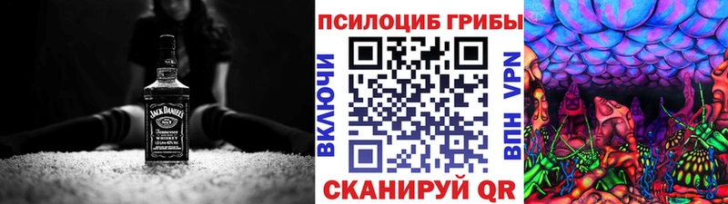 купить наркоту  Новодвинск  OMG зеркало  Галлюциногенные грибы Psilocybe 