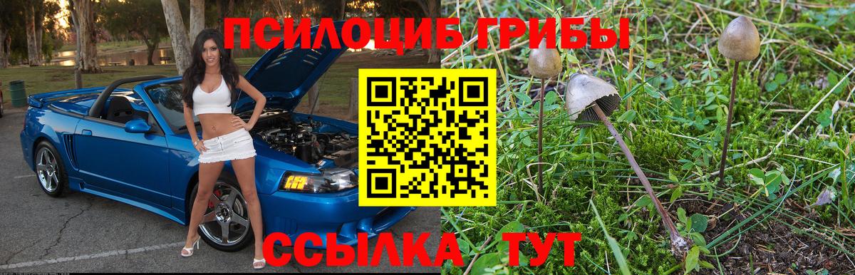 Новодвинск  Псилоцибиновые грибы мицелий  Вход с VPN 